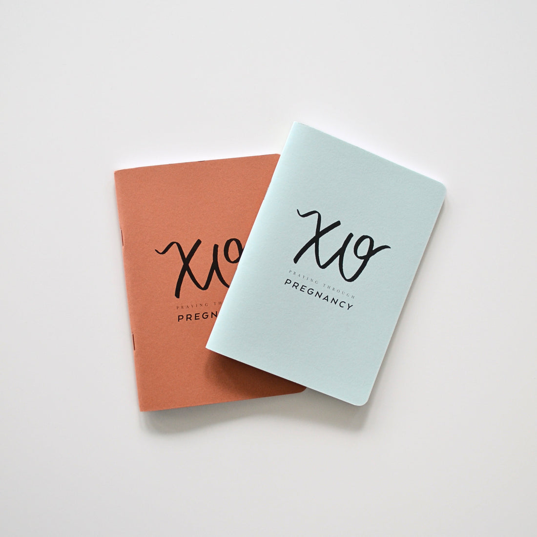 Pregnancy Prayer Journal