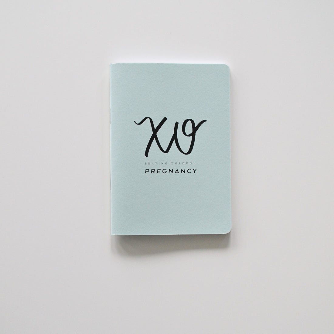 Pregnancy Prayer Journal