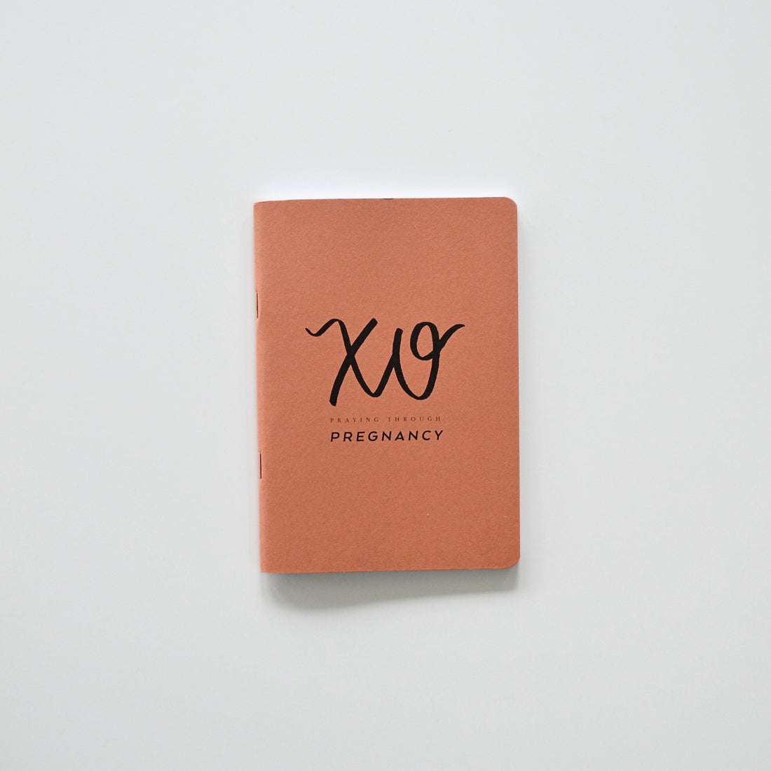 Pregnancy Prayer Journal