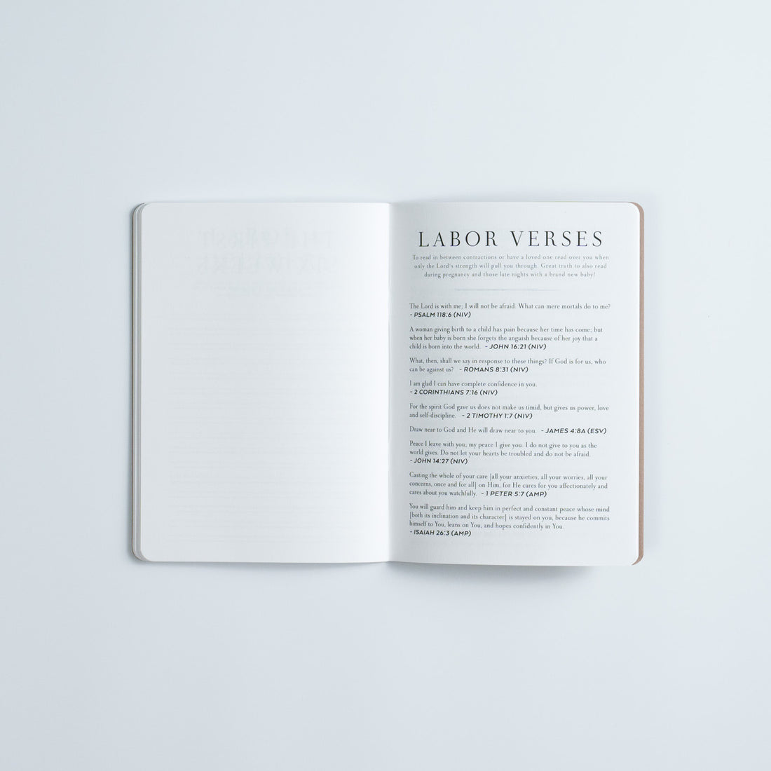 Pregnancy Prayer Journal