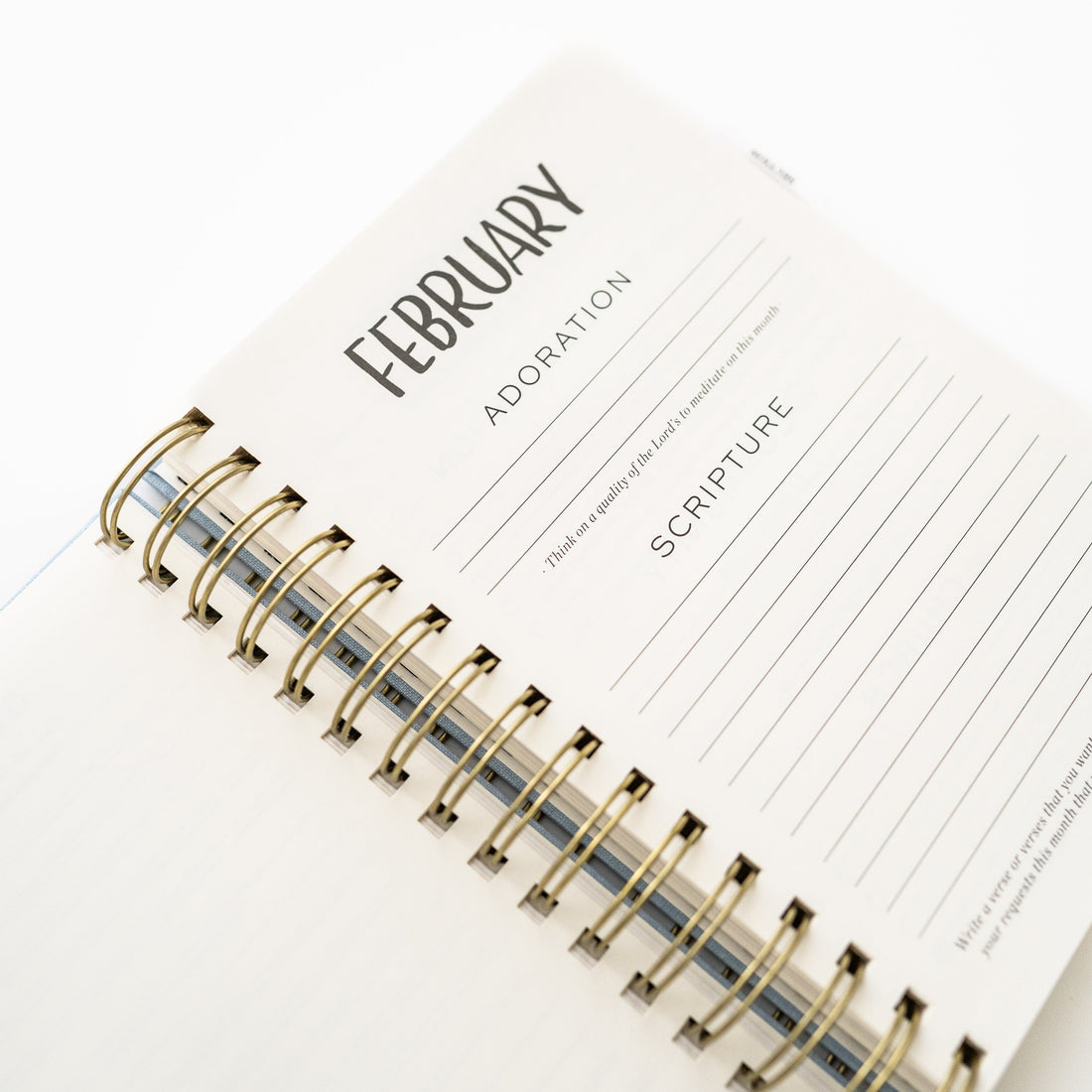 Rhythms Prayer Journal (Yearly)
